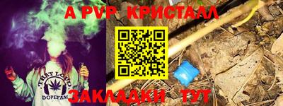прущие грибы Комсомольск-на-Амуре