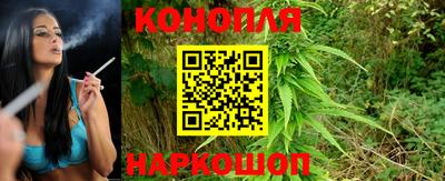 сатива Коммунар