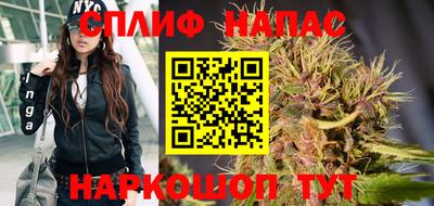 прущие грибы Комсомольск-на-Амуре