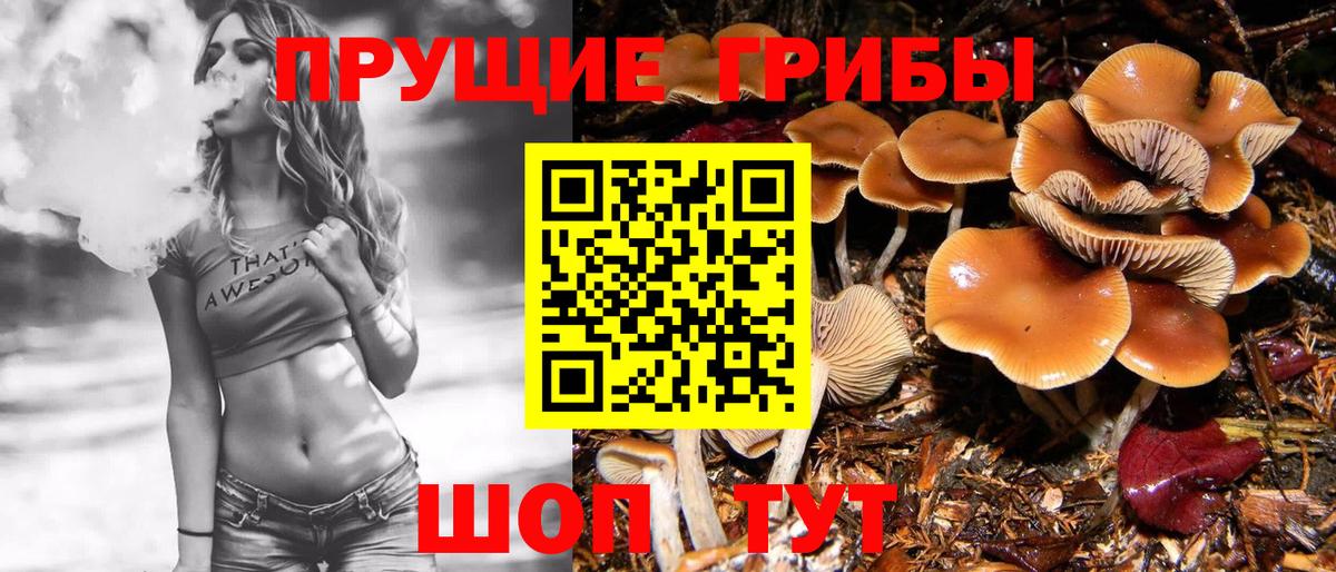Красноуфимск  Псилоцибиновые грибы мухоморы  цены наркотик  Вход с VPN 