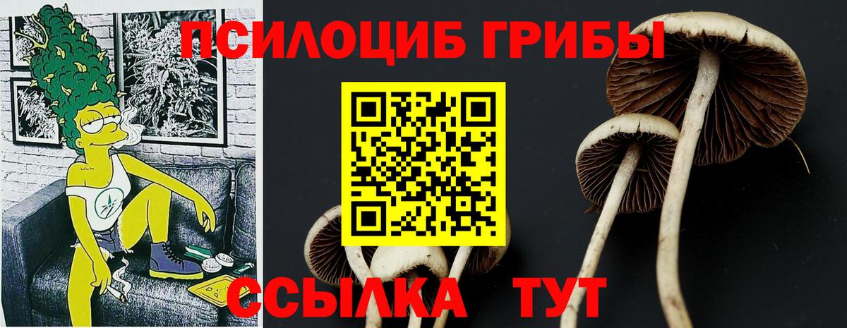 Псилоцибиновые грибы мухоморы Красноуфимск